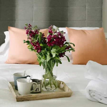 Concha Brand New & Style