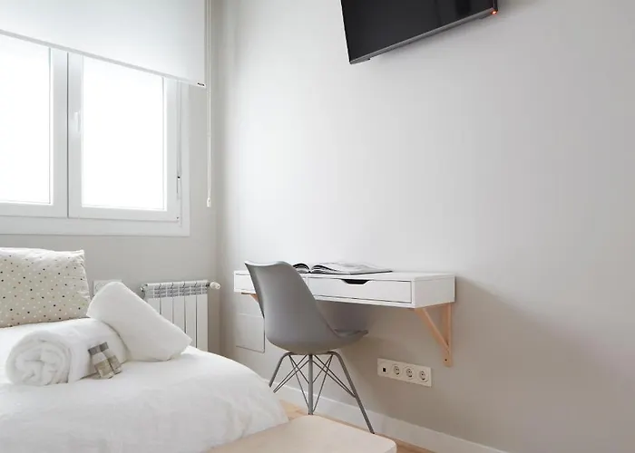 Concha Brand New & Style Saint-Sébastien