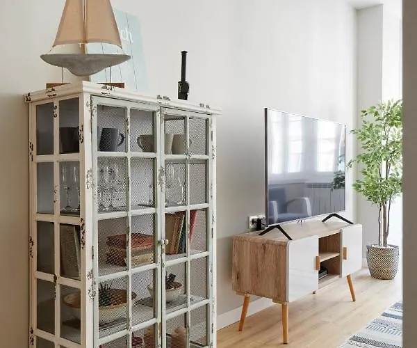 Concha Brand New & Style Saint-Sébastien